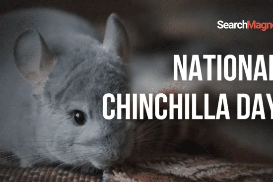 National Chinchilla Day