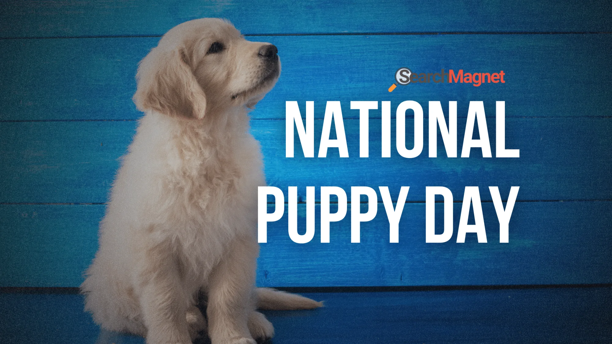 National Puppy Day