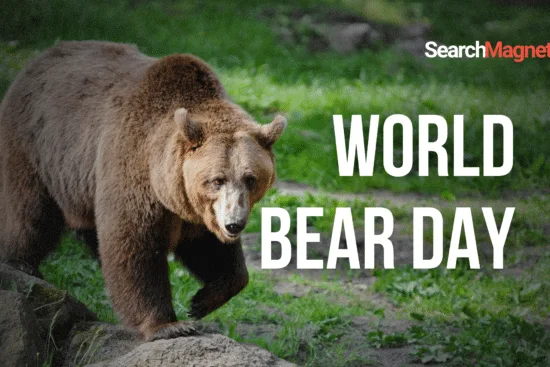 World Bear Day