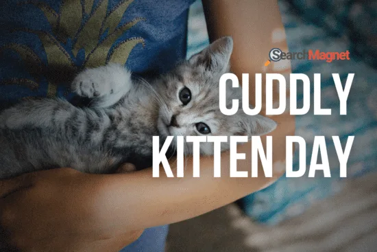 cuddly kitten day