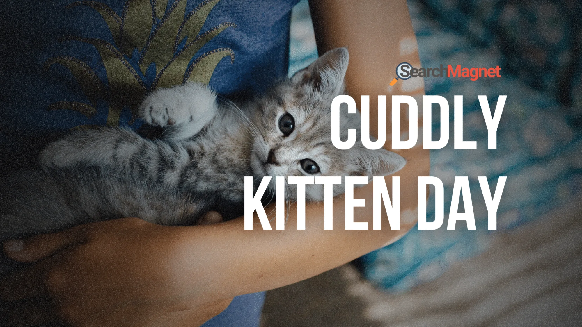 cuddly kitten day